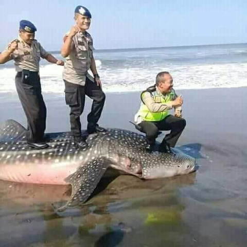 Hukum