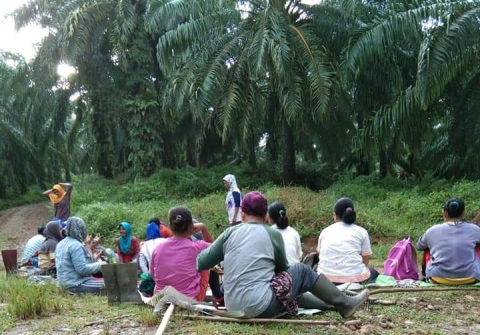 Daerah