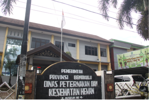 Waspada Penyebaran PMK Hewan Ternak, Pemprov Bengkulu Ambil Langkah Strategis